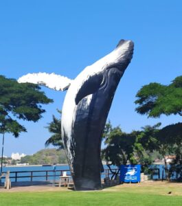 Link para o Instagram